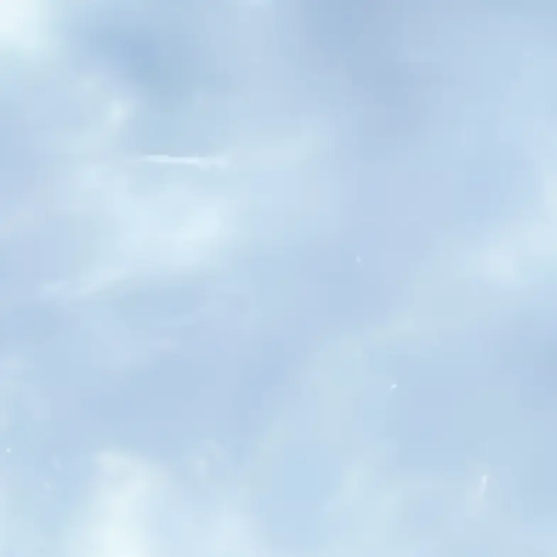 BrownStar5118의 親子