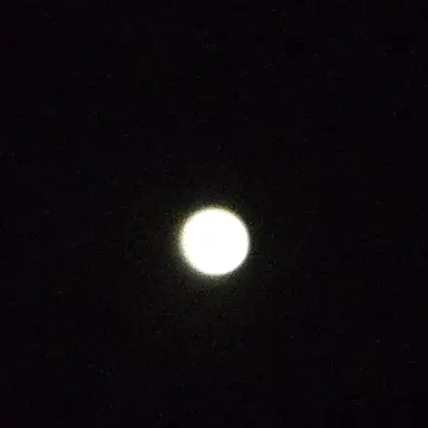 Profile image of 쵯슨철