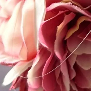 Profile image of カンヒュ