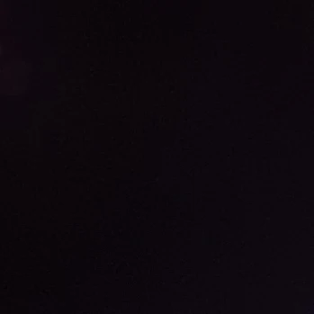 이인