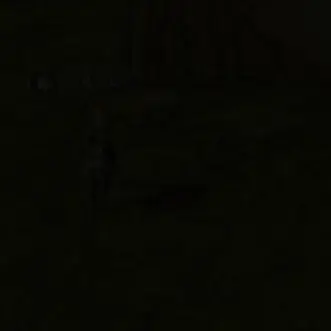 Profile image of 디투