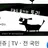 토리