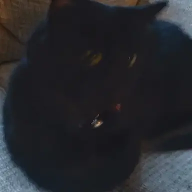 Profile image of Beth