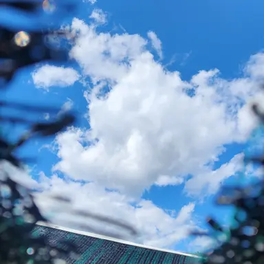 Profile image of 한다인