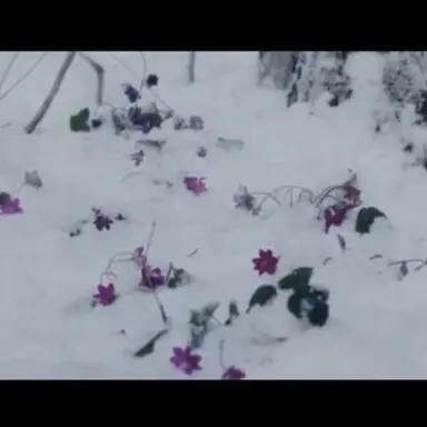 Profile image of いじめっ子達