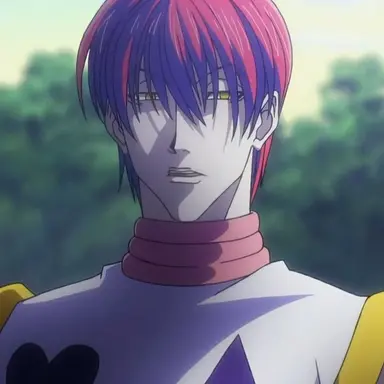 Profile image of ヒソカ