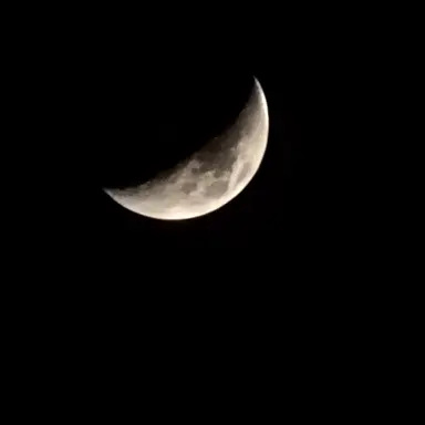 Profile image of 최승첣