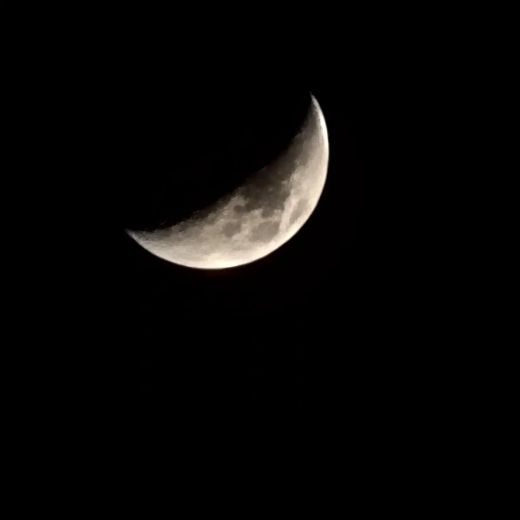 PureSaola9931의 최승첣