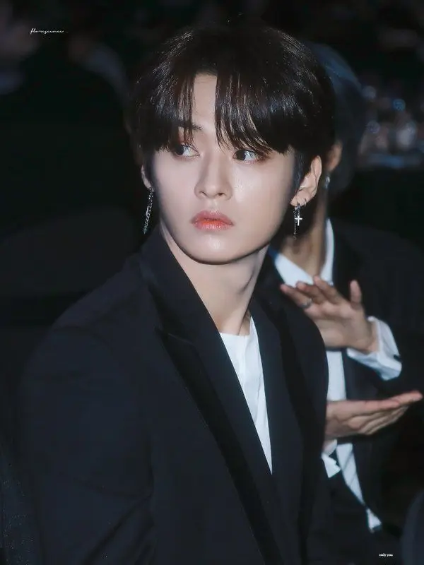 I_lovestraykids_alt의 Lee Minho