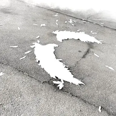 Profile image of SeRaPh