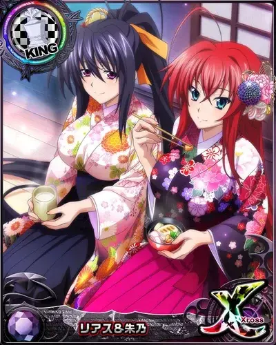 NosyFatty8278의 Rias and Akeno