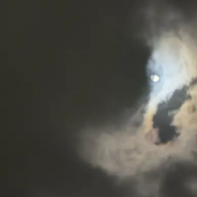 Profile image of 雨宮ゆい