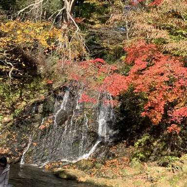 Profile image of 見届けにん