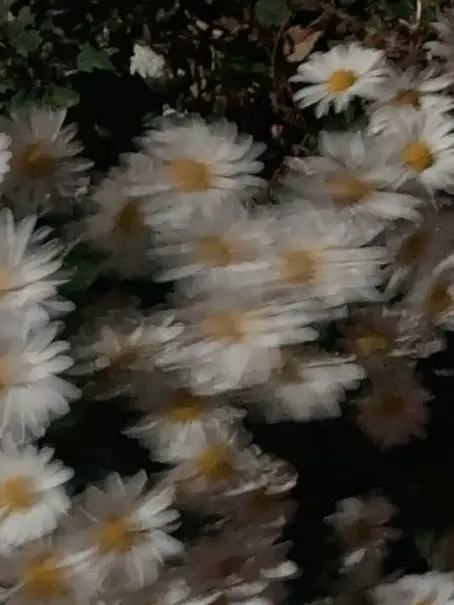 BlandTetra8819의 ちっちゃくなったあさひくん♡