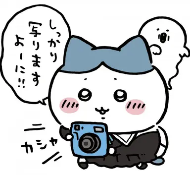 Profile image of ハチワレ