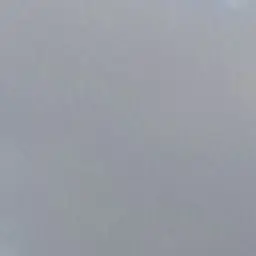 Profile image of 김실아