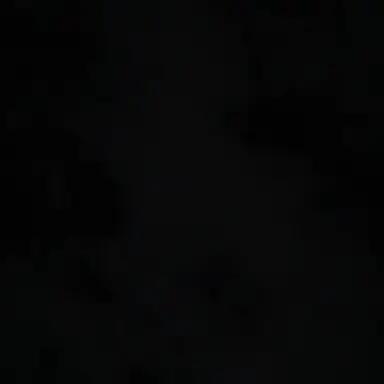 Profile image of 이수현