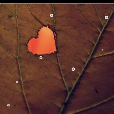 Profile image of 덕개