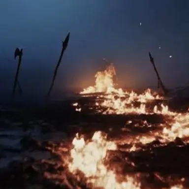 Profile image of Tk