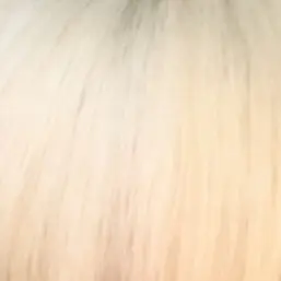 TimidFossa3821의 조세현