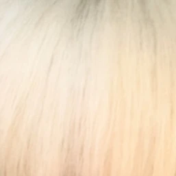 조세현