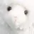 유 강민