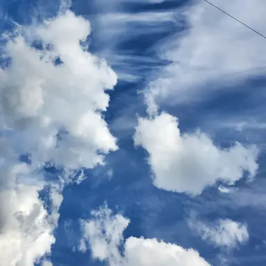 Profile image of 행크