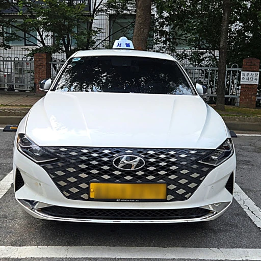택시 기사 체험