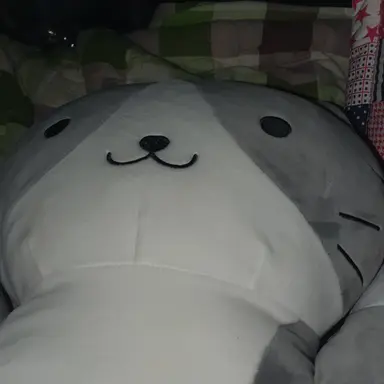 Profile image of 유빈