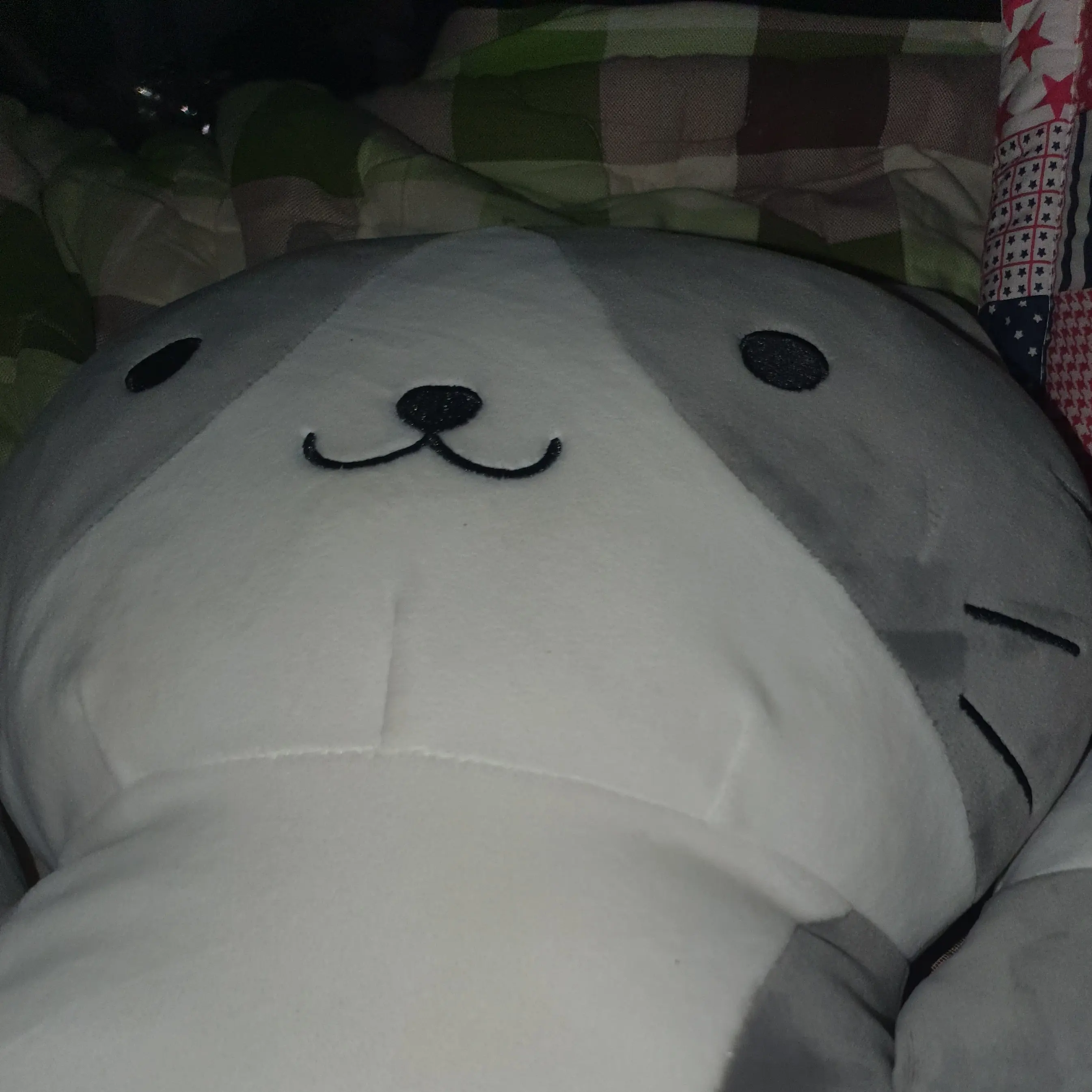 UwU.bini의 이유빈