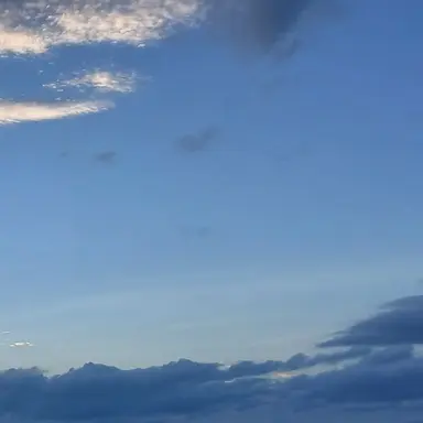 Profile image of 수현