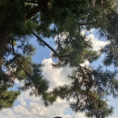 Profile image of 잠뜰