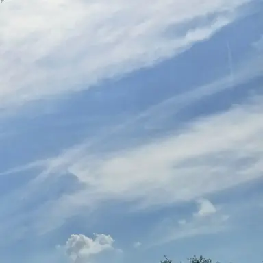 Profile image of 덕개