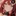 お嬢様