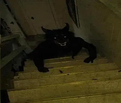 GrumpyStorm1255의 Skinwalker