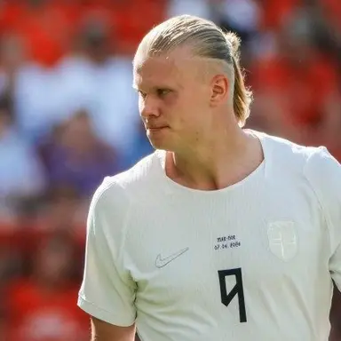 Profile image of Erling