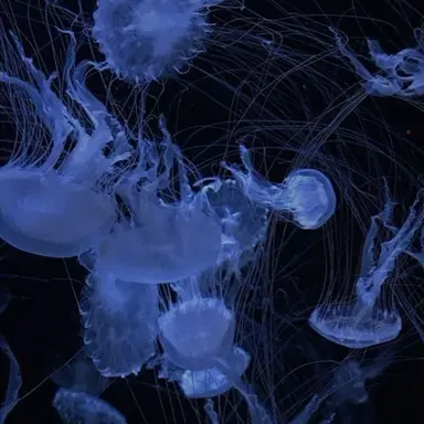 Profile image of ㅁㅁㅁ