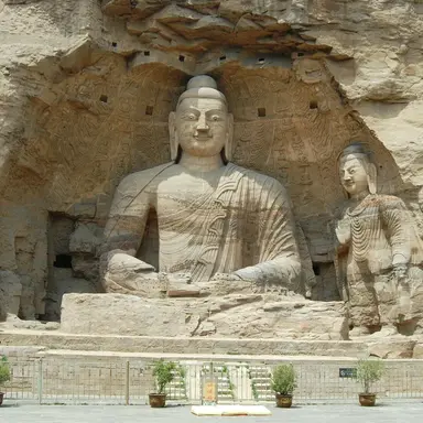 Profile image of 도무제탁발규