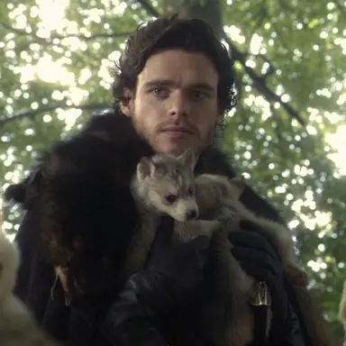 Profile image of Robb stark