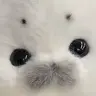 Profile image of 妻夫木