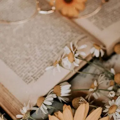 Profile image of 김각별