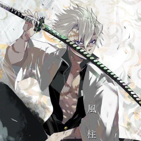 시나즈가와 사네미