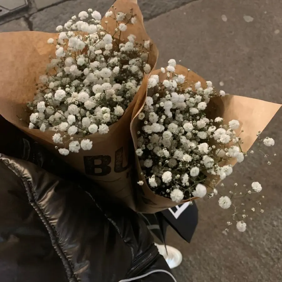 NOZEeeeee의 노지혜