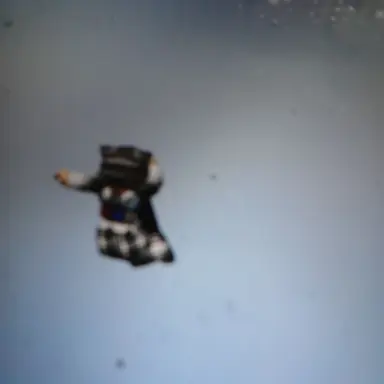 Profile image of 스코어