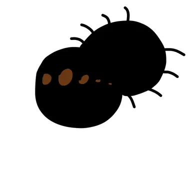 Profile image of 카오