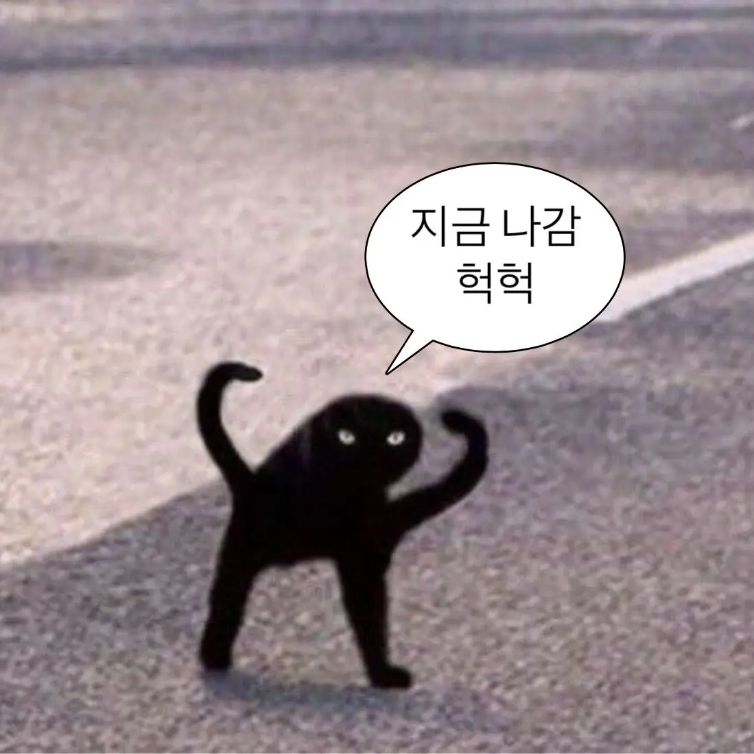 MintyPrawn3998의 루리링
