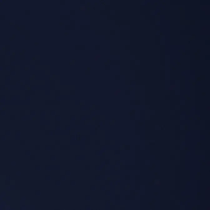 zia1231의 경호원(호우)