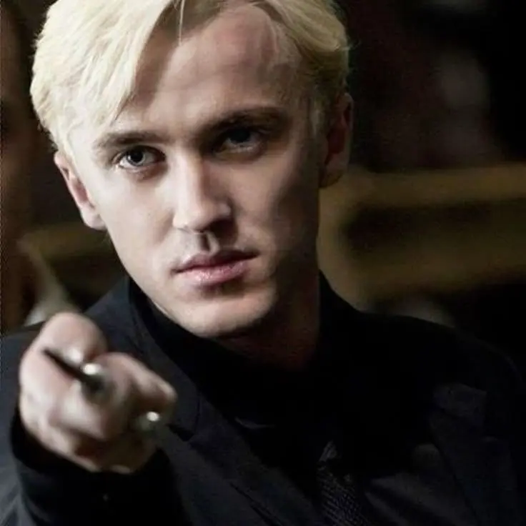 BriskNail2780의 Draco Malfoy asks Cassie to be his girlfriend