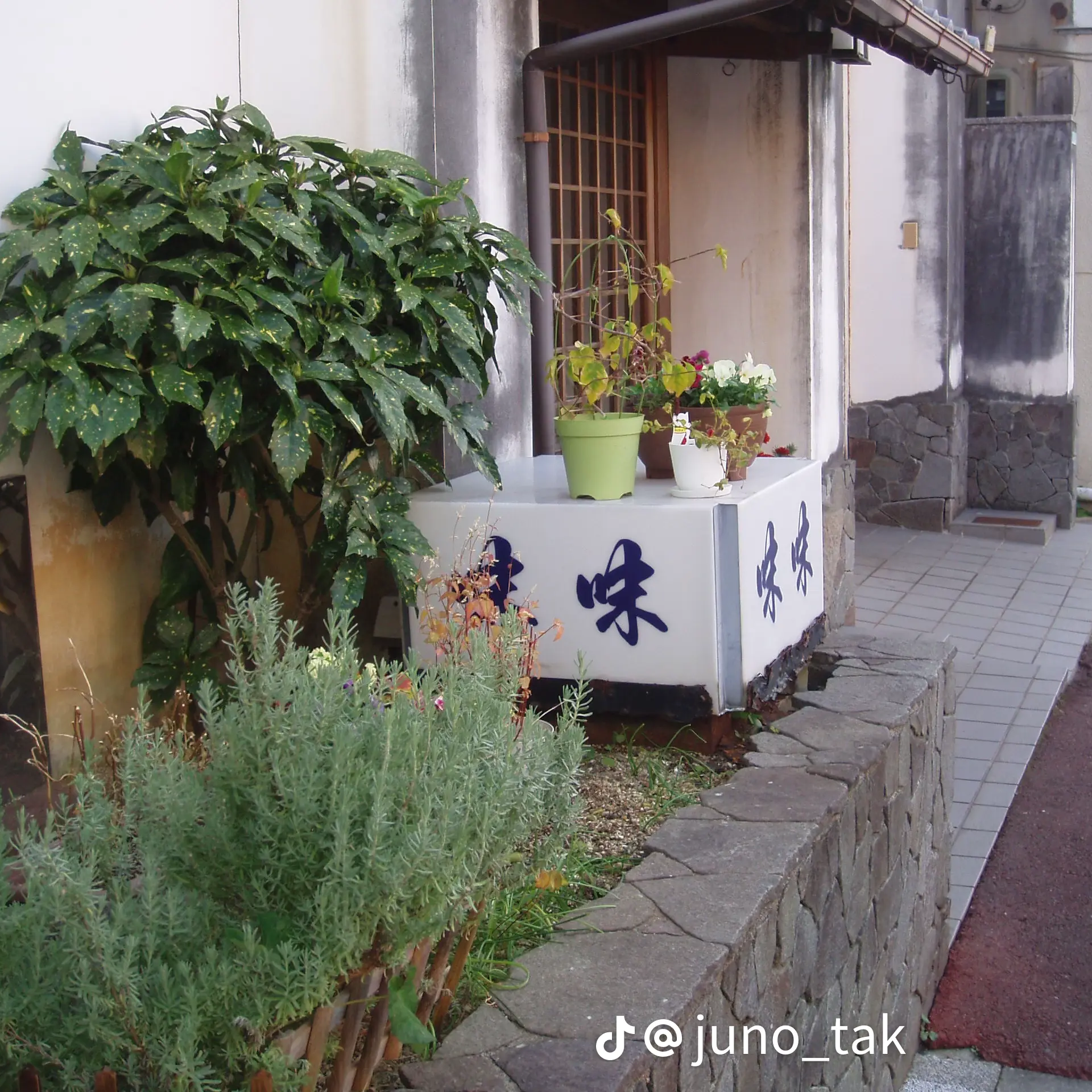 田舎で芽生える愛(컨셉:시골) 대표 이미지