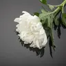 Profile image of .